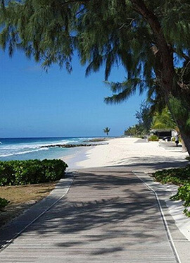 Beach landscape in Barbados