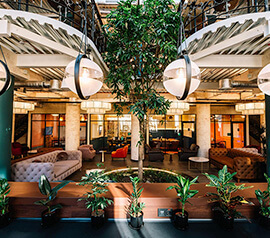 Questrade ukraine office hall, with beautiful plants